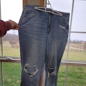 American Eagle Mom Jeans
